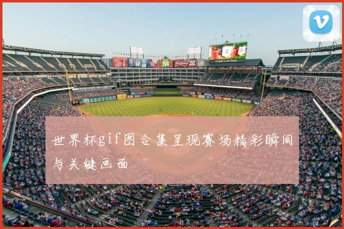 世界杯gif图合集呈现赛场精彩瞬间与关键画面