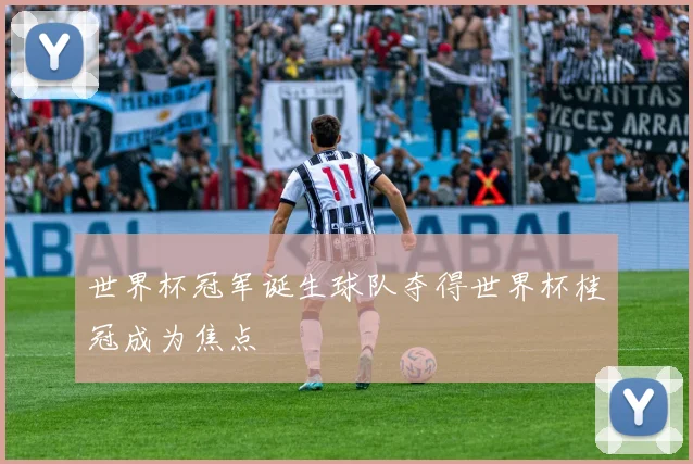 世界杯冠军诞生球队夺得世界杯桂冠成为焦点